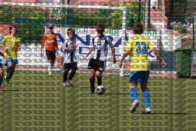 2J0D6311 copy.jpg
