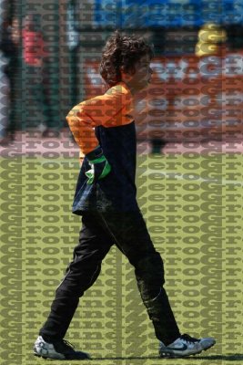 2J0D6317 copy.jpg