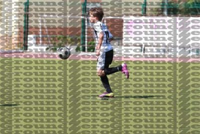 2J0D6321 copy.jpg