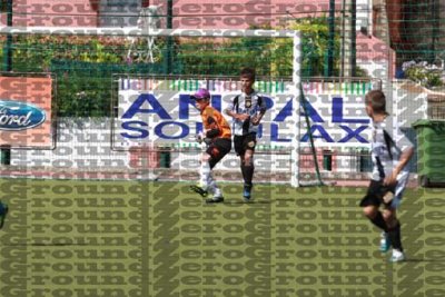 2J0D6343 copy.jpg