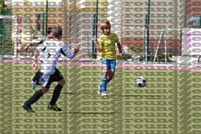 2J0D6483 copy.jpg