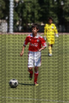 2J0D1262 copy.jpg