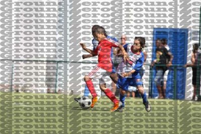 225F0582 copy.jpg