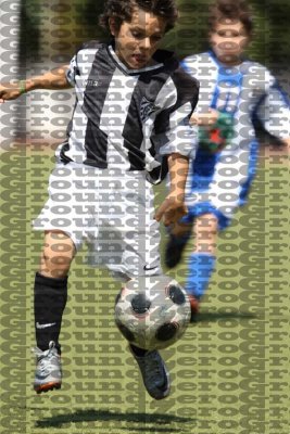 225F9659 copy.jpg