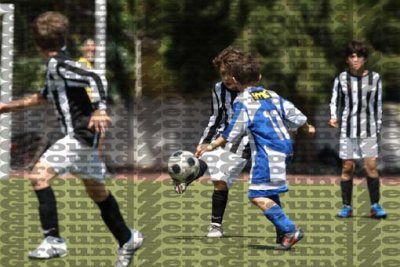 225F9705 copy.jpg
