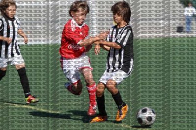 IMG_5165 copy.jpg