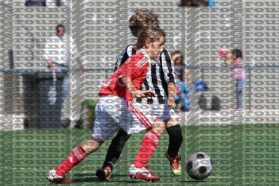 IMG_5299 copy.jpg