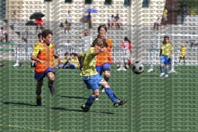 IMG_5343 copy.jpg
