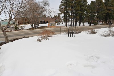 Perennial Mound Area (6219)