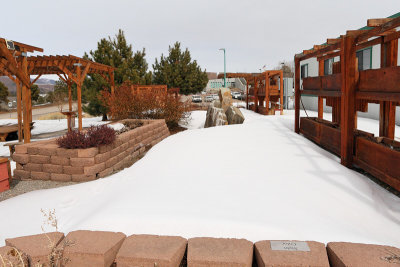 Sensory Garden Area (6236)