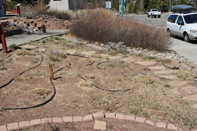 Grass Garden Area at E (9699)