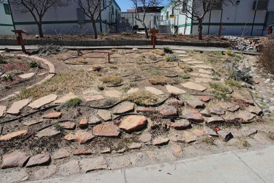 Grass Garden Area at NE (9698)
