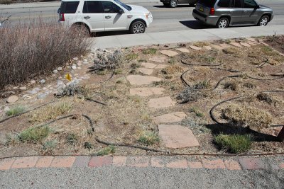 Grass Garden Area at SW looking NE (9703)