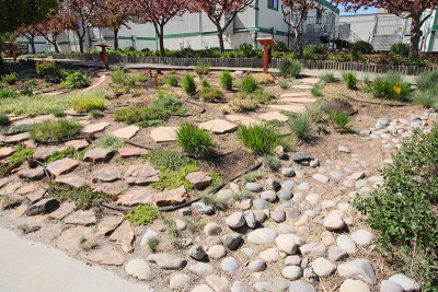 Grass Garden Area from NW (5396)
