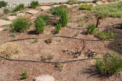 Grass Garden Area from SW looking N (5400)