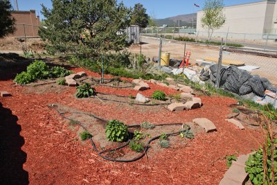 New Herb Garden Area (5412)
