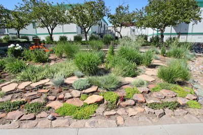 Grass Garden Area from N (3962)