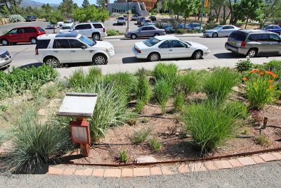Grass Garden Area from S (3965)