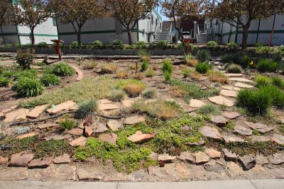 Grass Garden Area from N (0188)