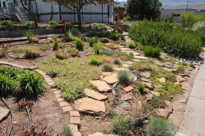Grass Garden Area from NE (0189)