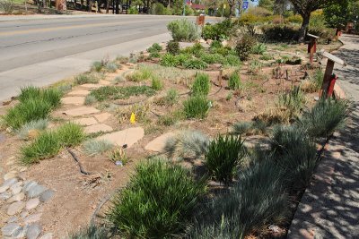 Grass Garden Area from SW (0184)