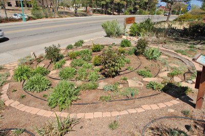 Oasis Garden Area from SW (0203)