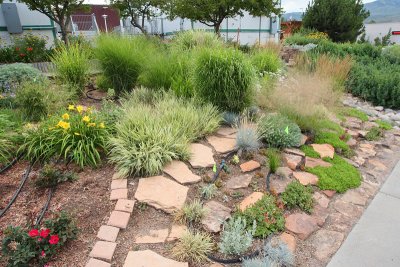 Grass Garden Area from NE (6620)