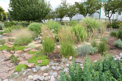 Grass Garden Area from NW (6619)
