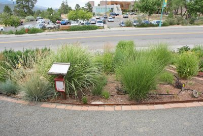 Grass Garden Area from S (6617)