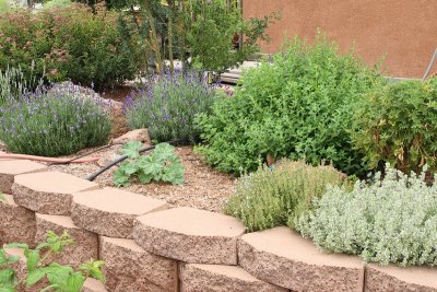 Kitchen Herb Garden Area (1-Far Left) (6639)