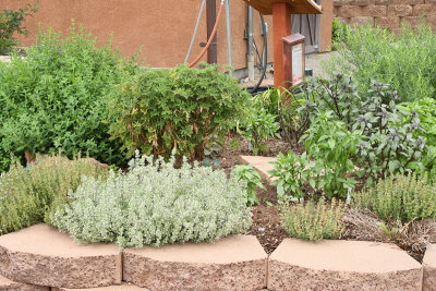 Kitchen Herb Garden Area (2-Left Centert) (6640)