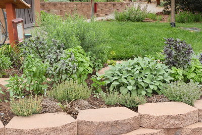 Kitchen Herb Garden Area (3-Right Center) (6641)