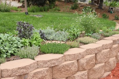 Kitchen Herb Garden Area (4-Far Right) (6642)