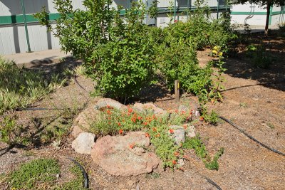 Memorial Garden Area W (7642)
