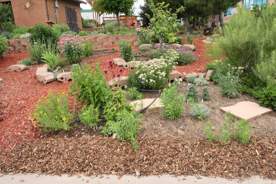 New Herb Garden Area C (6636)