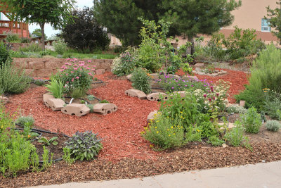 New Herb Garden Area from W (6631)