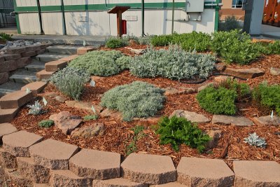 Artemisia Garden 1-East #251 (1757)