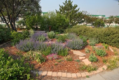 Industrial Strength Garden #258 (1710)