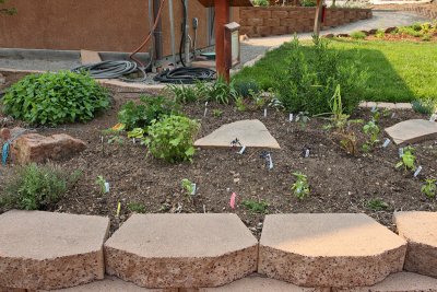 Kitchen Herb Garden [North] #259 (1781)