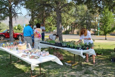 Plant Sale (1946)