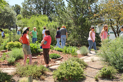 Visitors to the Perennial Mound (1972)