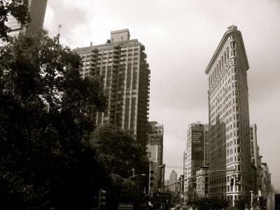 IMG_4339_2.JPG