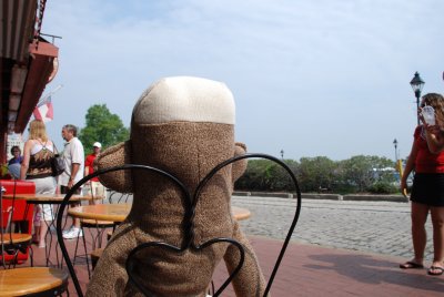 Sock In Savannah