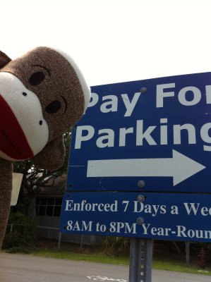 Sock Pays For Parking. So Should You !!!
