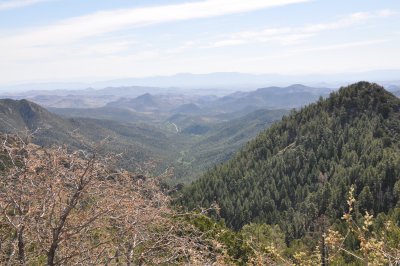 Emory Pass Scenic View New Mexico