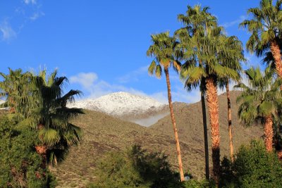 Palm-Spring-California