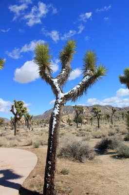 Hidden-Valley-Hike.jpg