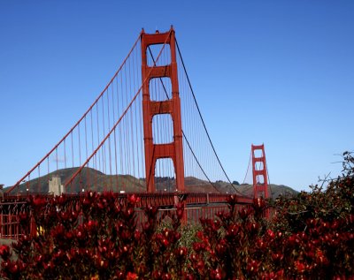 Golden-Gate-Bridge