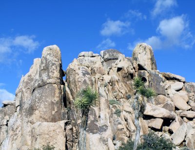 Hidden-Valley-Hike.jpg