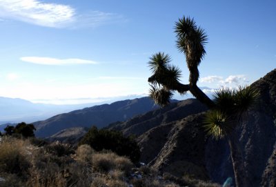 Keys-View-Joshua-Tree.jpg